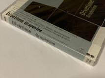 50【新品未開封】Divetime Grapevine CD 　見本　グレイプバイン_画像2