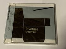 50【新品未開封】Divetime Grapevine CD 　見本　グレイプバイン_画像1