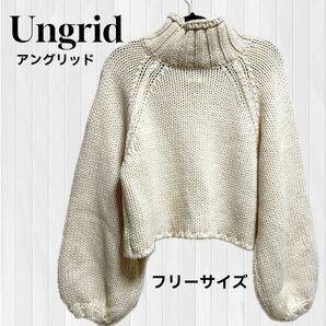 Ungrid アングリッド ローゲージハイネックショートニット セーター 長袖