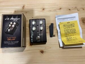 L R Baggs Align Series Delay