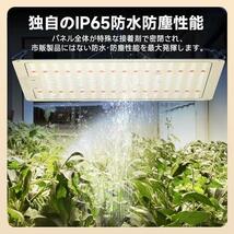 【在庫限り】 【超高輝度 長寿命 IP65防水】 植物育成ライト 256LED 600W相当 UV/IR 量子ランプ 室内栽培 多肉植物 水耕栽培ランプ 家庭菜_画像4