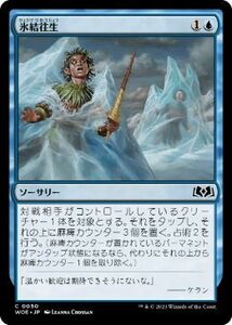 MTG ■青/日本語版■ 《氷結往生/Freeze in Place》エルドレインの森 WOE