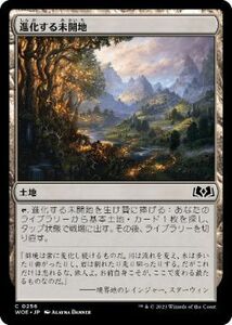 MTG ■土地/日本語版■ 《進化する未開地/Evolving Wilds》★FOIL★エルドレインの森 WOE