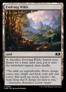 MTG ■土地/英語版■ 《進化する未開地/Evolving Wilds》エルドレインの森 WOE