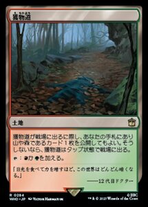 MTG ■土地/日本語版■ 《獲物道/Game Trail》★FOIL★ ドクター・フー WHO