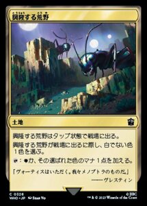 MTG ■土地/日本語版■ 《興隆する荒野/Thriving Heath》★サージFOIL★ ドクター・フー WHO