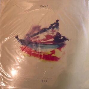 CALM/save the vinyl ep2 12inch アナログレコード限定レア