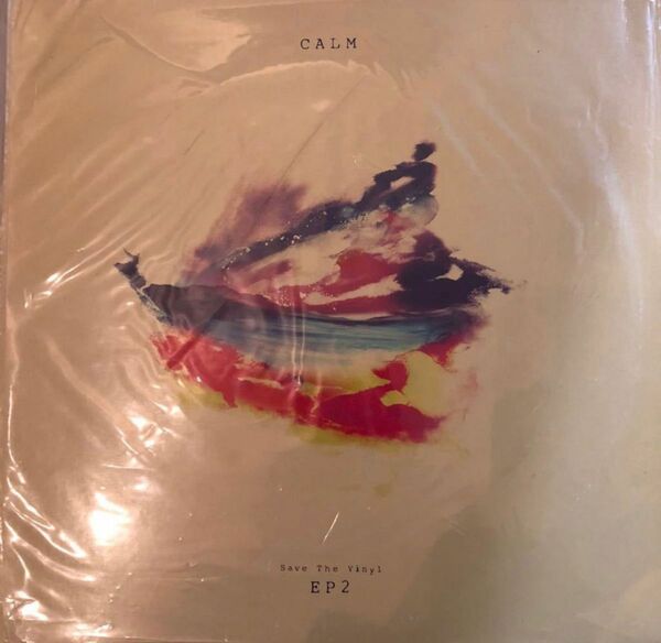 CALM/save the vinyl ep2 12inch アナログレコード限定レア