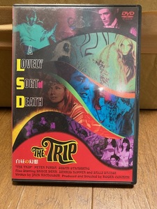 白昼の幻想　THE TRIP　DVD 　廃版　ピーター・フォンダ　デニス・ホッパー　ジャック・ニコルソン　イージー・ライダー