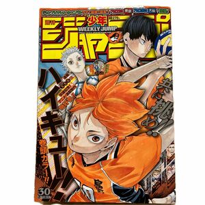 週刊少年ジャンプ 30号 2019年7月8日号 (集英社) (雑誌) ハイキュー表紙