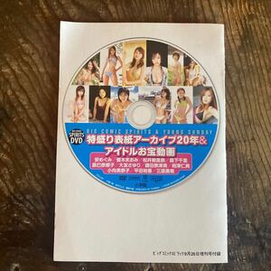 ビッグコミックスピリッツ DVD 特盛り表紙アーカイブアイドルお宝動画 安めぐみ　優木まおみ　松井絵里奈　相澤仁美　小向美奈子　平田裕香