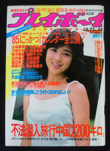 プレイボーイ 1984年10月23日号 ジーナ・ナナ/鳥海ゆかり(水着) 山本奈津子/北原ちあき/木内まさこ/大友美幸/中山あずさ/佐野量子 にっかつ