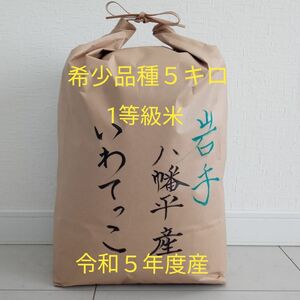 お米　５キロ　白米　いわてっこ