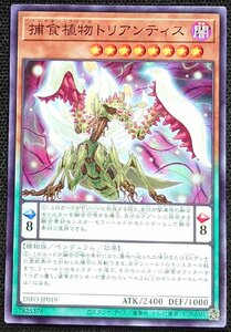 【遊戯王】捕食植物トリアンティス(ノーマル)DIFO-JP019 x3枚セット