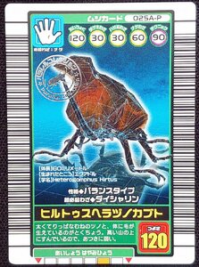 【甲虫王者ムシキング】ヒルトゥスヘラヅノカブト つよさ120(パラレルコレクション/025A-P)2003 AUTUMN