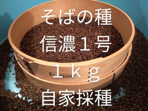 そばの種　蕎麦の種　１ｋｇ　令和５年産　自然栽培　自家採種　肥料農薬不使用