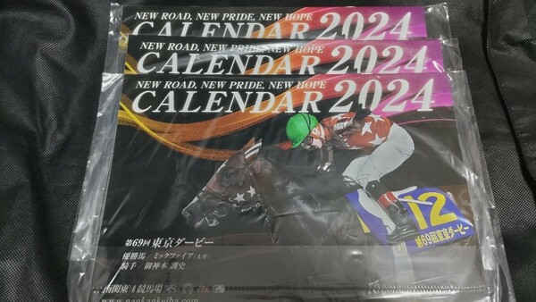 【3冊セット】 2024年 南関東カレンダー ミックファィア 南関カレンダー 大井 川崎 船橋 浦和 JRA