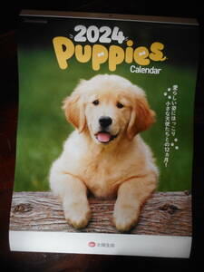２０２４　Puppies カレンダー　愛らしい・・・　壁掛け　２か月1枚　企業名入り
