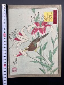【真作】本物浮世絵木版画 歌川広重「新撰花鳥盡」中判 錦絵 保存良い 