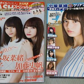 Flashスペシャル&Ex 大衆セット 小坂奈緒クリアファイル&ポスターと日向坂46クリアファイル未使用付き