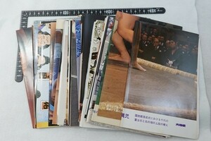 Eh05/大相撲　付録ポスター　ほか　いろいろまとめて　力士　横綱