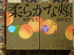 中古文庫本　桐野夏生　柔らかな頬　（上・下）
