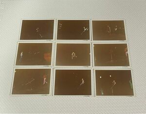 矢沢永吉 1979年 生写真(当時物)16枚