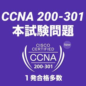 12月最新　Cisco シスコ CCNA201-300 本試験問題　実績多数 9tut