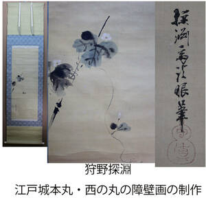 Art hand Auction [Authentic] Kano Tanbuchi Morima (1805-1853) Flowers. Created the partition paintings for the Honmaru and Nishinomaru of Edo Castle (currently the Imperial Palace) [100], Painting, Japanese painting, Flowers and Birds, Wildlife