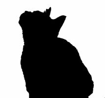 猫　シルエット　ドライ　Tシャツ　ネコ　グッズ　ロングTシャツ　ロンT_画像2