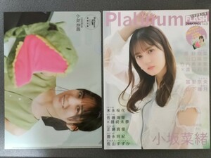 Platinum 　(プラチナ) 　FLASH Vol.24 小坂菜緒 潮紗理菜 山口陽世 竹内希来里 渡辺莉奈 冨里奈央 山下瞳月 末永桜花 佐藤海里 藤崎未夢