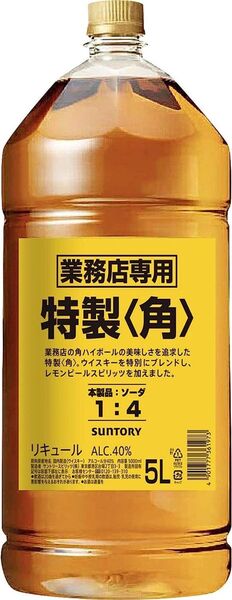 角瓶 角 5L 1本