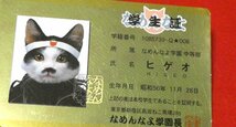 なめ猫　なめねこ　TradingCard　キラカードトレカ　パロディカード　ヒゲオ　学生証_画像2