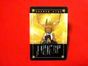 シャーマンキング　SHAMAN　KING　TradingCard　非売品カードトレカ　NO.004