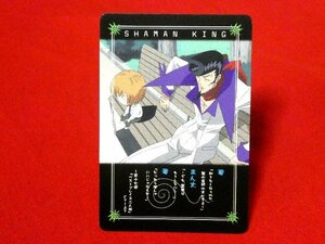 シャーマンキング　SHAMAN　KING　TradingCard　非売品カードトレカ　NO.017