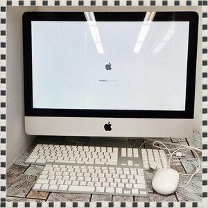 【 通電確認済 】 Apple iMac A1311 21.5型 デスクトップPC 一体型 キーボード・マウス付属 ジャンク扱い 1円スタート