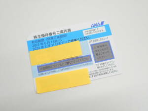 チケット祭 ANA 株主優待券 1枚 有効期限 2024年5月31日まで 未使用品