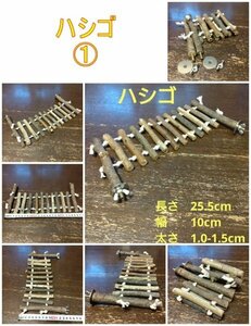  small animals, bird toy (TOY-03-009) ladder bird supplies ①