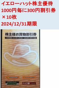 【送料無料】イエローハット株主優待①　1000円毎に300円割引券×10枚　2024/12/31期限　自動車　カー用品　スタッドレスタイヤ