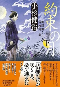 約束の月(下)風烈廻り与力青柳剣一郎(祥伝社文庫こ17-68)/小杉健治■23114-30056-YY60