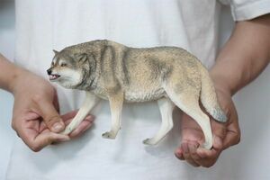 JXK LXF2209 1/6 サイズ 狼 ハイイロオオカミ 猛獣 ウルフ 動物 フィギュア 大人のおもちゃ 模型 誕生日 プレゼント 置物 27cm級 (2209A)