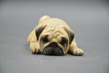 パグ 可愛い 犬 動物 リアル フィギュア PVC プラモデル プレミアム 大人のおもちゃ 模型 15cm級 犬好き 誕生日 プレゼント 置物_画像1