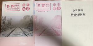未使用 冬期 練成ゼミ 小3国語 解答解説付 塾専用教材 送料込