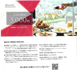 ウェルスマネジメント　株主優待券　5000円券　～2枚迄　2024月8月末迄有効　ウエルスマネジメント　WEALTH MANEGEMENT