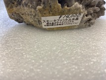 スモーキーファントム水晶 中国産 約12.0cmx8.0cmx5.0cm 509.8g 鉱石 コレクター コレクション_画像3