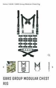 実物 GBRS GROUP MODULAR CHEST RIG LTE BK チェストリグ 訳あり FERRO LBT gbrs devgru BCM fog One7six 