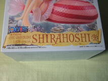 ワンピース　DX　FIGURE THE GRANDLINE LADY SPECIAL　SHIRAHOSHI　しらほし姫_画像7