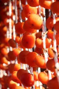 年末年始セール【新物】1/上旬～■山形県産　干し柿　紅柿 つるし32個　L