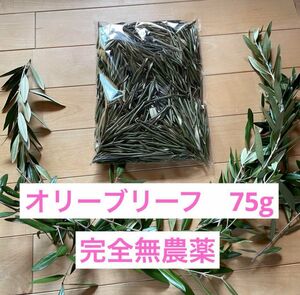 【完全無農薬】乾燥オリーブリーフ75g