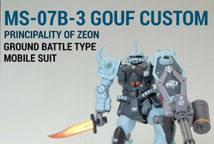 HGUC グフカスタム改修塗装完成品